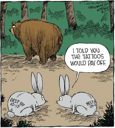 Speed Bump Comic Strip for December 07, 2019 