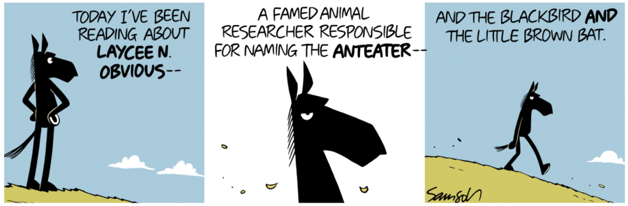 Dark Side of the Horse Comic Strip for October 15, 2019 