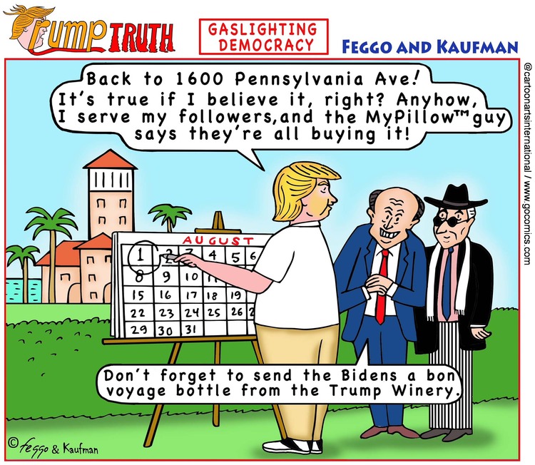 ViewsBusiness Comic Strip for June 06, 2021 