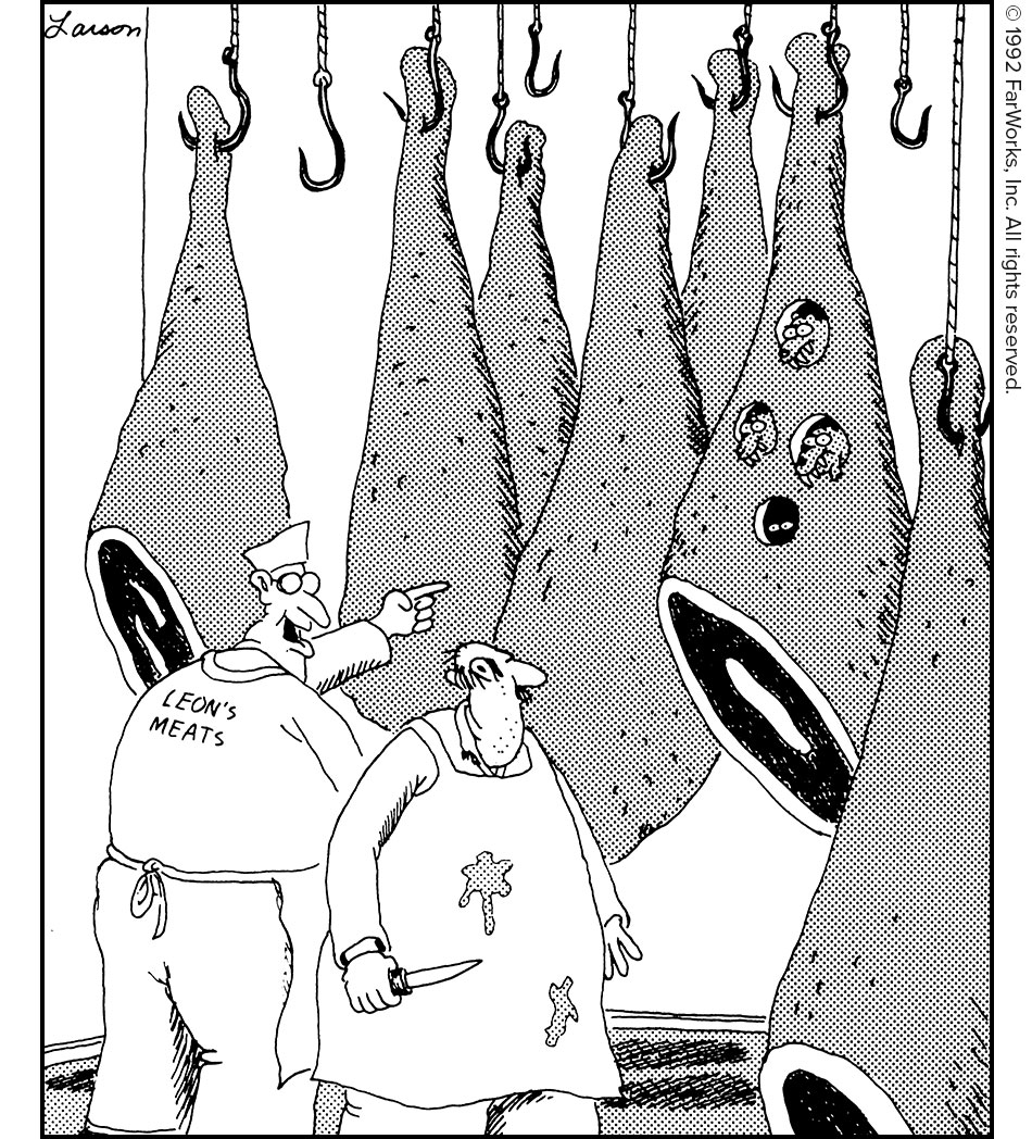 LEON'S MEATS  