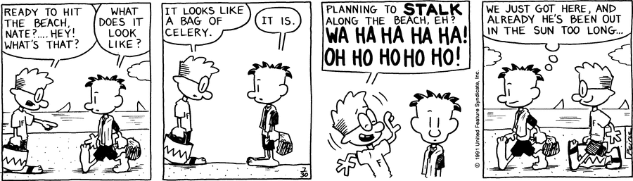 Big Nate Comic Strip for July 30, 1991 