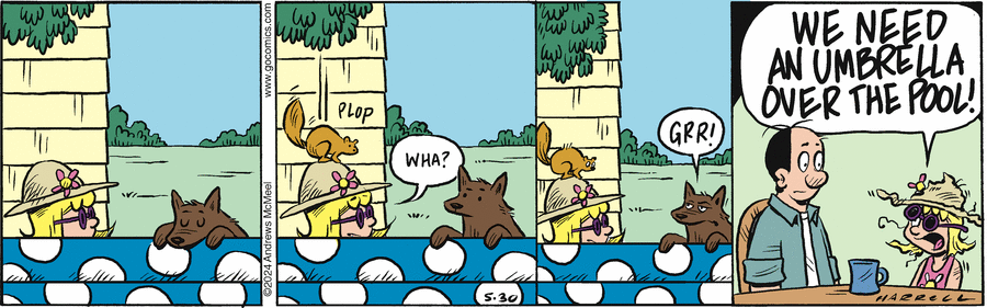 Adam@Home Comic Strip for May 30, 2024 