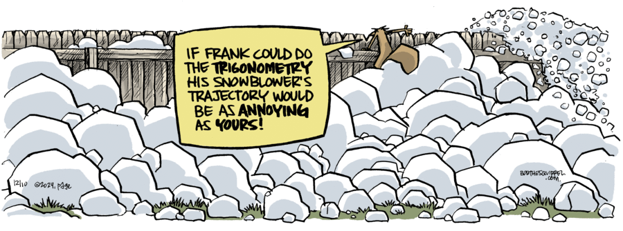Bob the Squirrel Comic Strip for December 10, 2024 