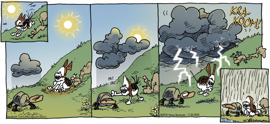 Little Dog Lost by Steve Boreman  on Sun, 30 Mar 2025