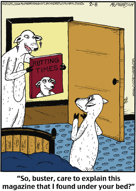 Close to Home Comic Strip for February 08, 2025 