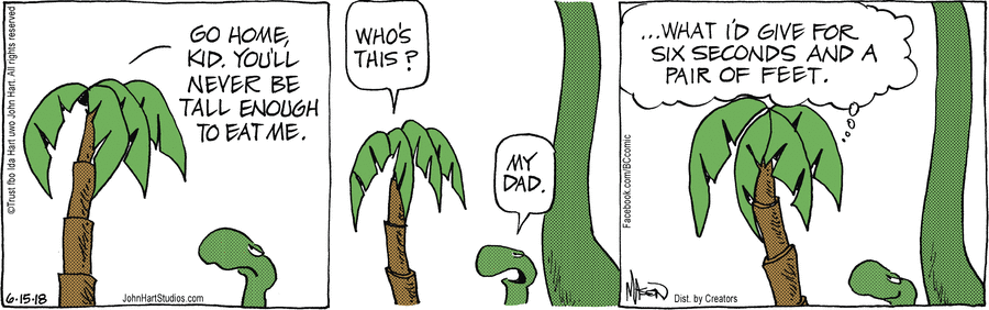 B.C. Comic Strip for June 15, 2018 
