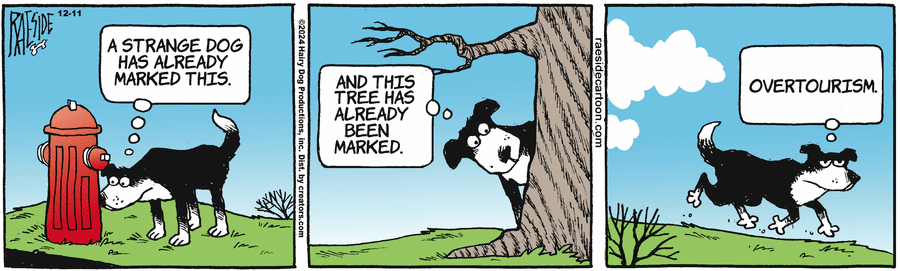 The Other Coast Comic Strip for December 11, 2024 