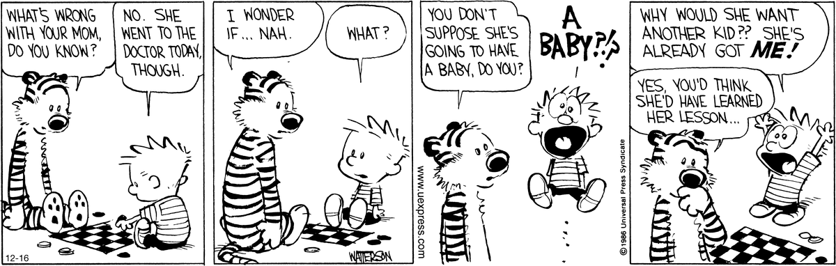 Calvin and Hobbes Comic Strip for December 16, 2011 