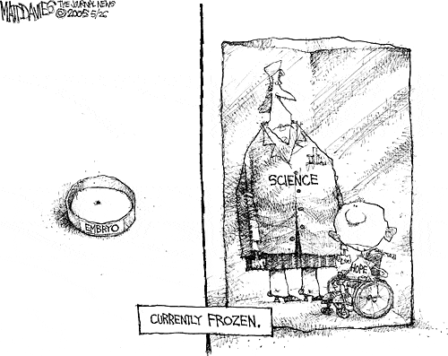 Matt Davies Comic Strip for May 25, 2005 