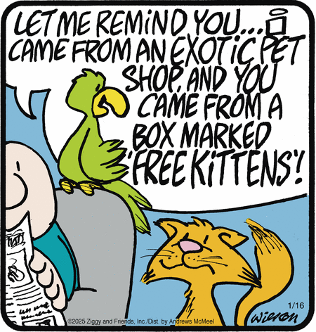 Ziggy Comic Strip for January 16, 2025 