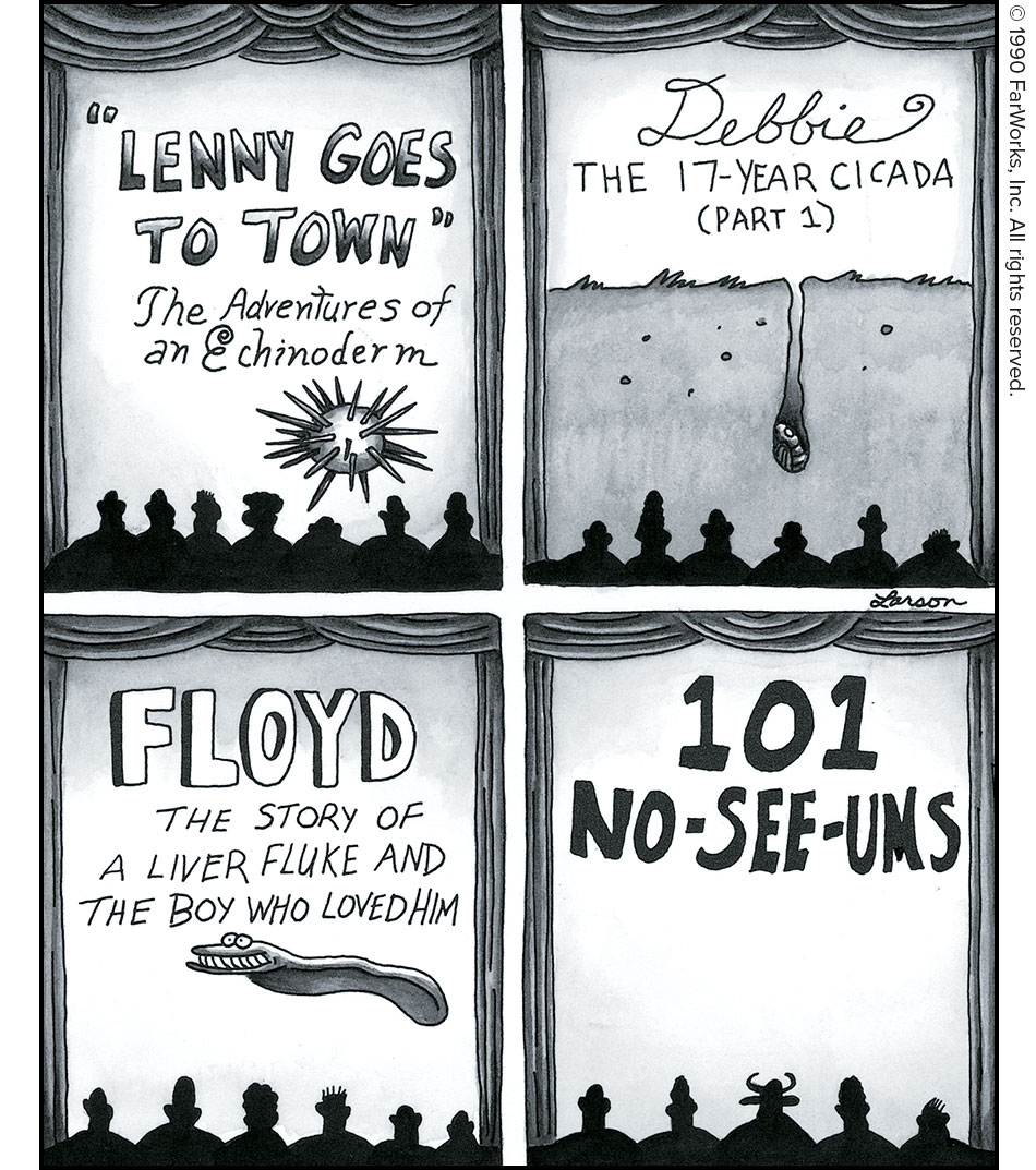 "LENNY GOES TO TOWN" The Adventures of an Echinoderm / Debbie THE 17-YEAR CICADA (PART 1) / FLOYD THE STORY OF A LIVER FLUKE AND THE BOY WHO LOVED HIM / 101 NO-SEE-UMS