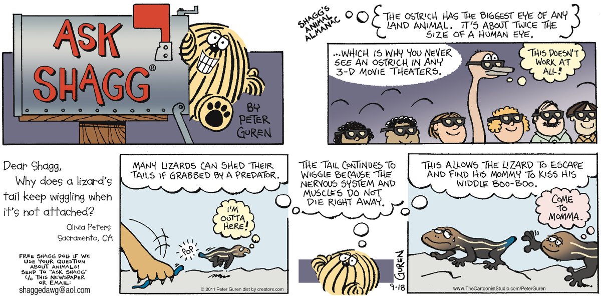 Ask Shagg Comic Strip for February 17, 2025 