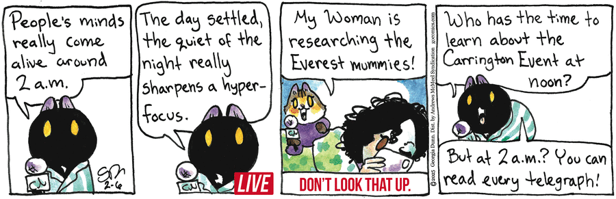 Breaking Cat News Comic Strip for February 06, 2025 
