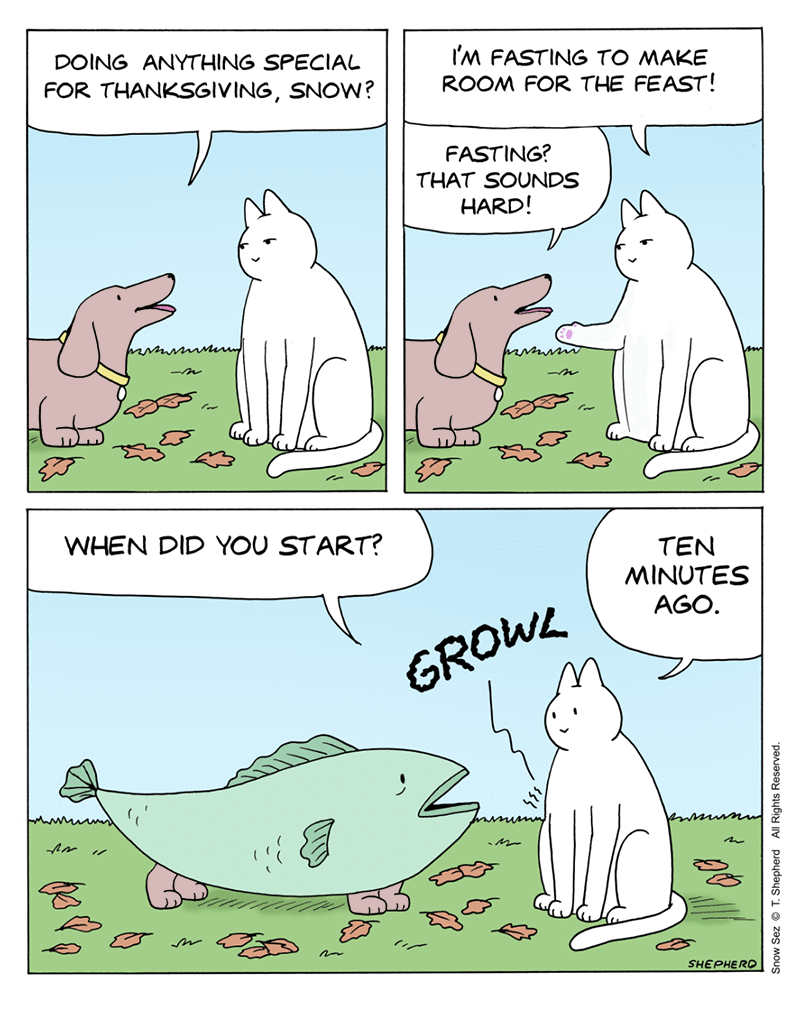 Snow Sez Comic Strip for November 25, 2024 