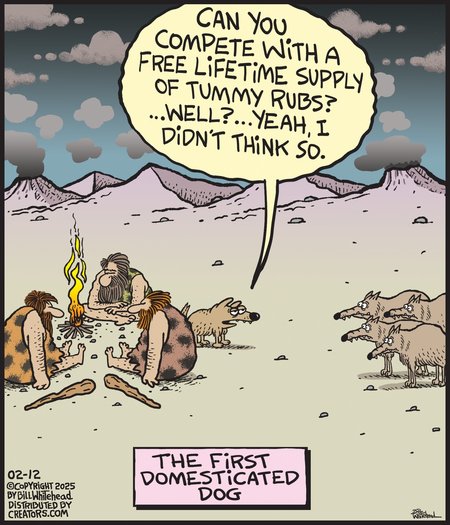 Free Range Comic Strip for February 12, 2025 