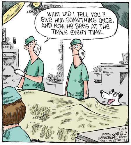 Speed Bump Comic Strip for March 28, 2014 