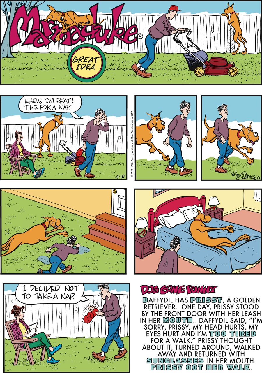 Marmaduke Comic Strip for April 10, 2022 