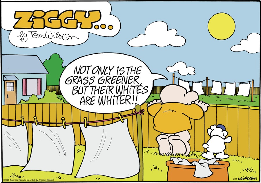 Ziggy Comic Strip for February 09, 2025 