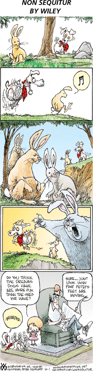 Non Sequitur Comic Strip for June 01, 2008 