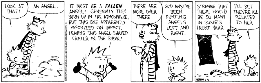 Calvin and Hobbes Comic Strip for February 16, 1993 