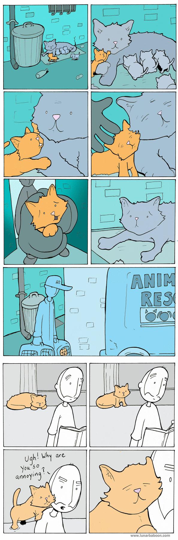 Lunarbaboon Comic Strip for March 11, 2016 