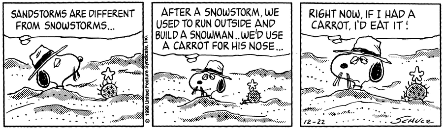 Peanuts Comic Strip for December 22, 1990 
