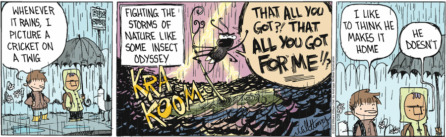 Wallace the Brave Comic Strip for May 28, 2019 