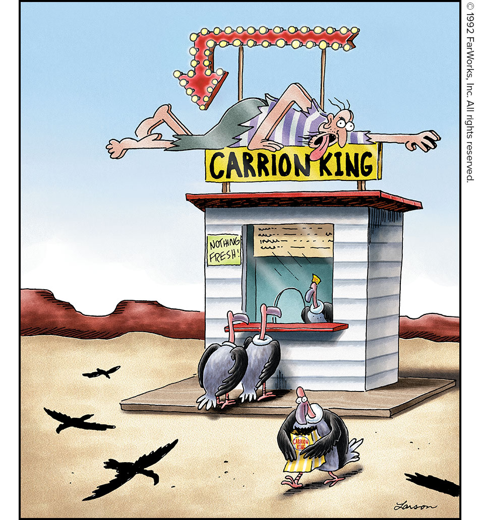 CARRION KING / NOTHING FRESH!