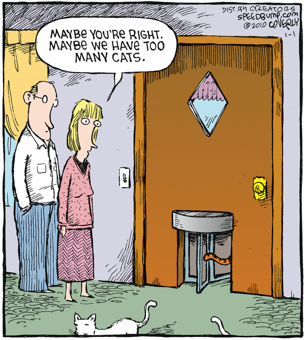 Speed Bump Comic Strip for January 01, 2010 