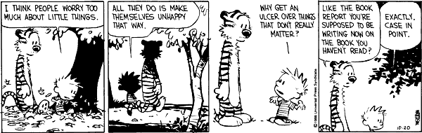 Calvin and Hobbes Comic Strip for December 03, 2009 