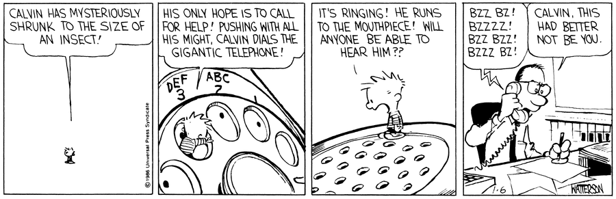 Calvin and Hobbes Comic Strip for January 06, 1992 