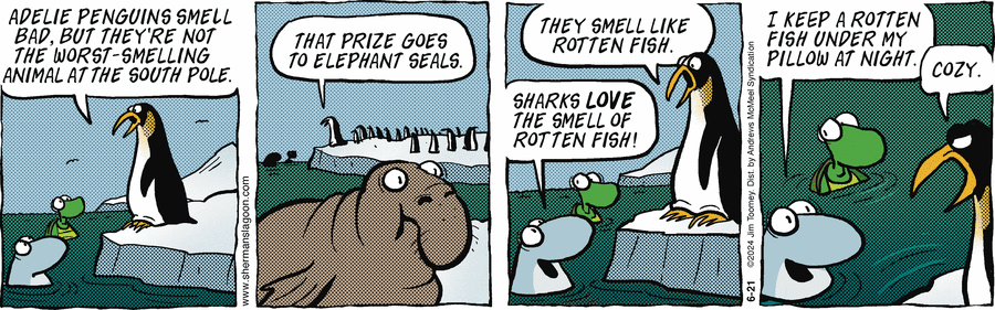 Sherman's Lagoon Comic Strip for June 21, 2024 