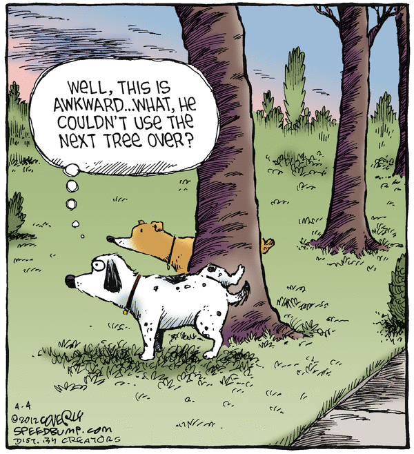 Speed Bump Comic Strip for April 04, 2012 