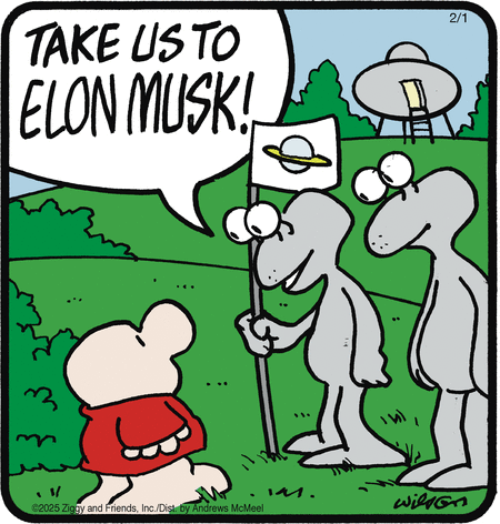 Ziggy Comic Strip for February 01, 2025 