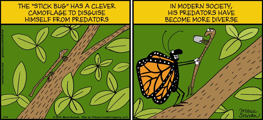 Half Full Comic Strip for May 24, 2015 