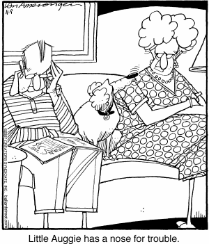 Ballard Street Comic Strip for December 07, 2024 