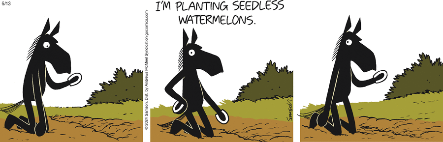 Dark Side of the Horse Comic Strip for June 13, 2024 