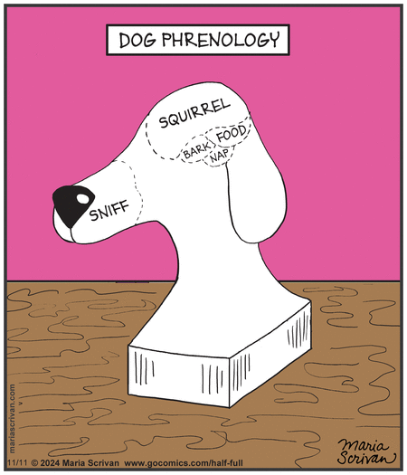 Half Full Comic Strip for November 11, 2024 