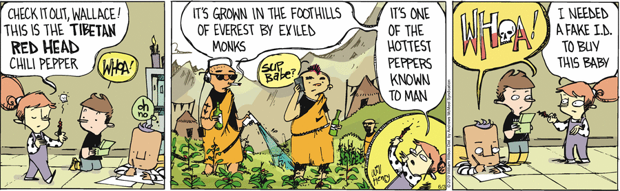 Wallace the Brave Comic Strip for June 03, 2019 