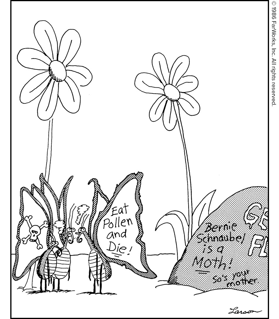 Eat Pollen and Die! / Bernie Schnaubel is a Moth! / So’s your mother. GE FL