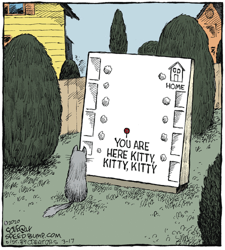 Speed Bump Comic Strip for March 17, 2020 