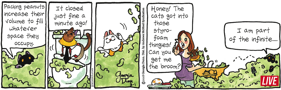 Breaking Cat News Comic Strip for March 01, 2018 