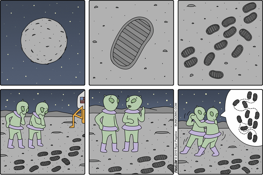 Buni Comic Strip for July 17, 2019 