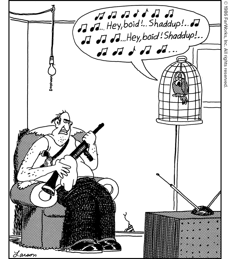 (musical notes) … Hey boid! … Shaddup! … … Hey boid! … Shaddup! …