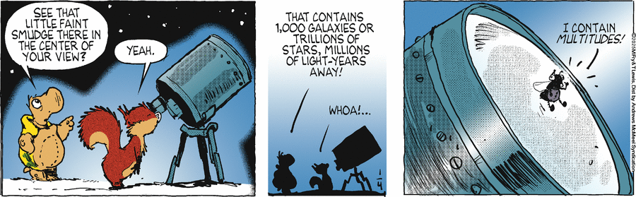 Over the Hedge Comic Strip for January 04, 2025 