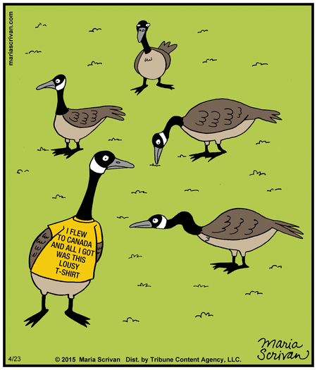 Half Full Comic Strip for April 23, 2015 