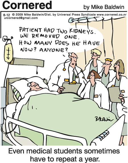 Cornered Comic Strip for August 12, 2009 