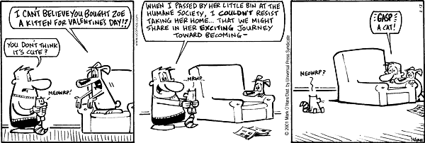 Citizen Dog Comic Strip for January 14, 2025 