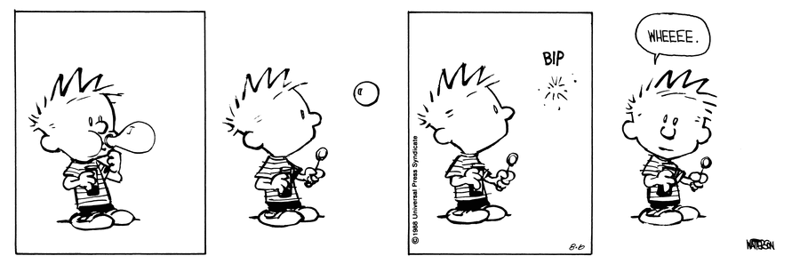 Calvin and Hobbes Comic Strip for August 06, 1988 