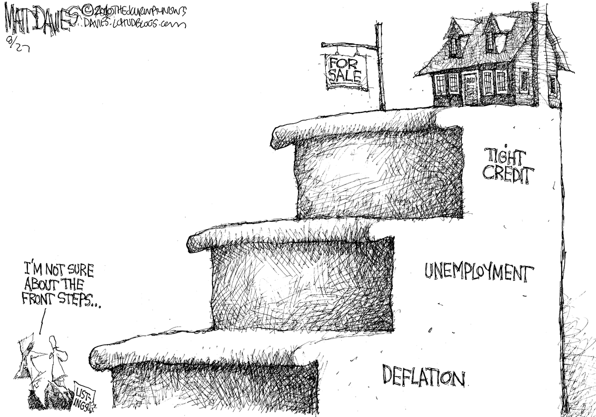 Matt Davies Comic Strip for August 27, 2010 
